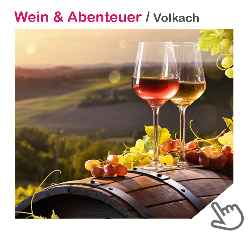 Segway Weinprobe Volkach Schweinfurt Iphofen